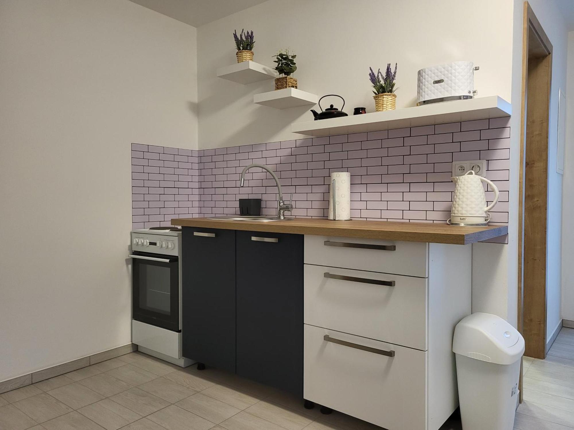 Apartman Na Karlicku Karlov  Extérieur photo
