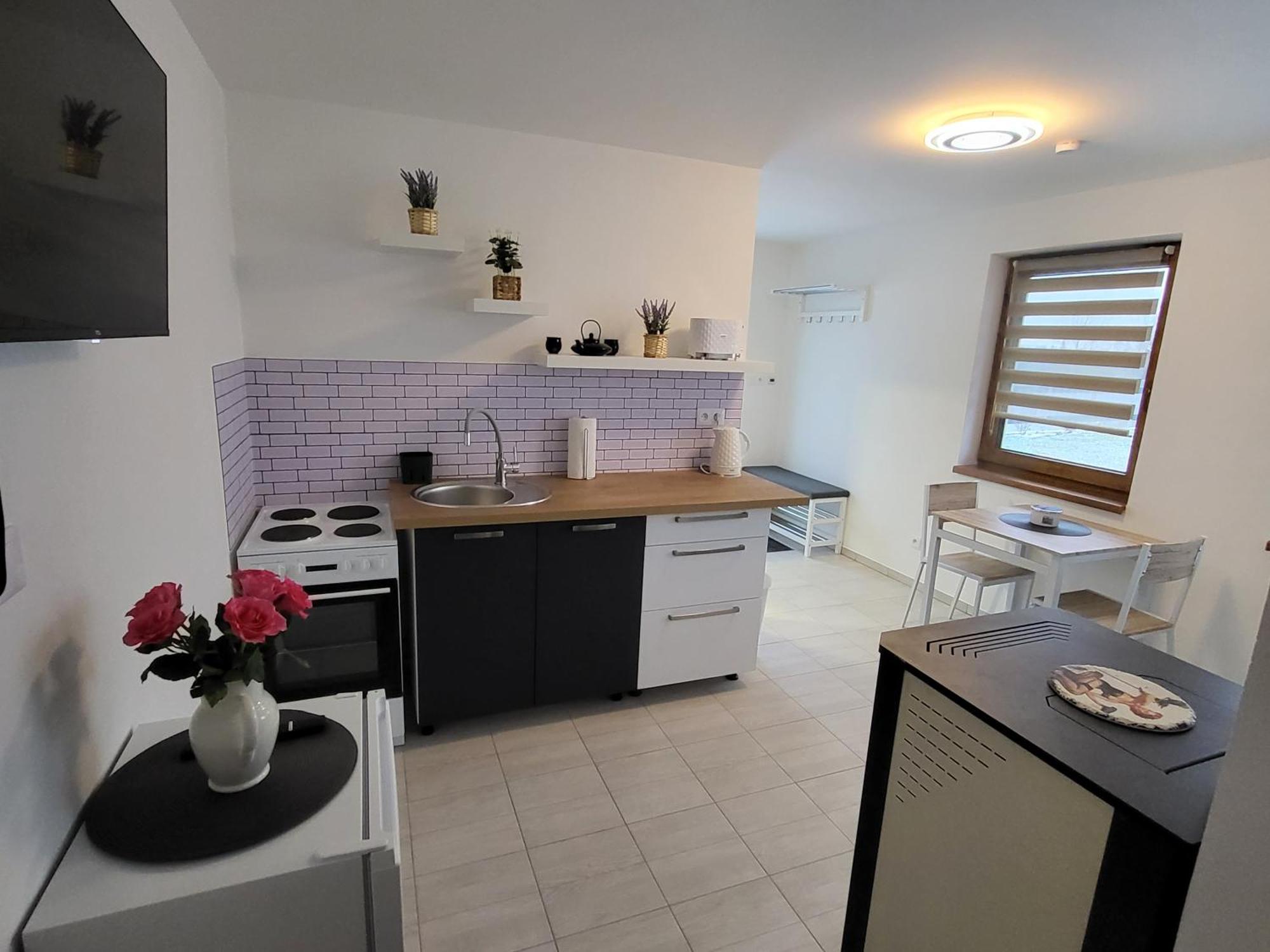Apartman Na Karlicku Karlov  Extérieur photo
